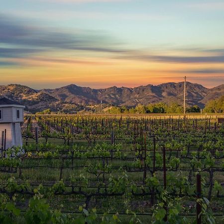 Chateau De Vie カリストガ エクステリア 写真